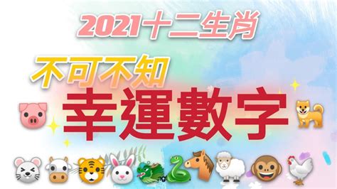 屬雞的幸運數字|快收藏！12生肖的「幸運數字」公布 